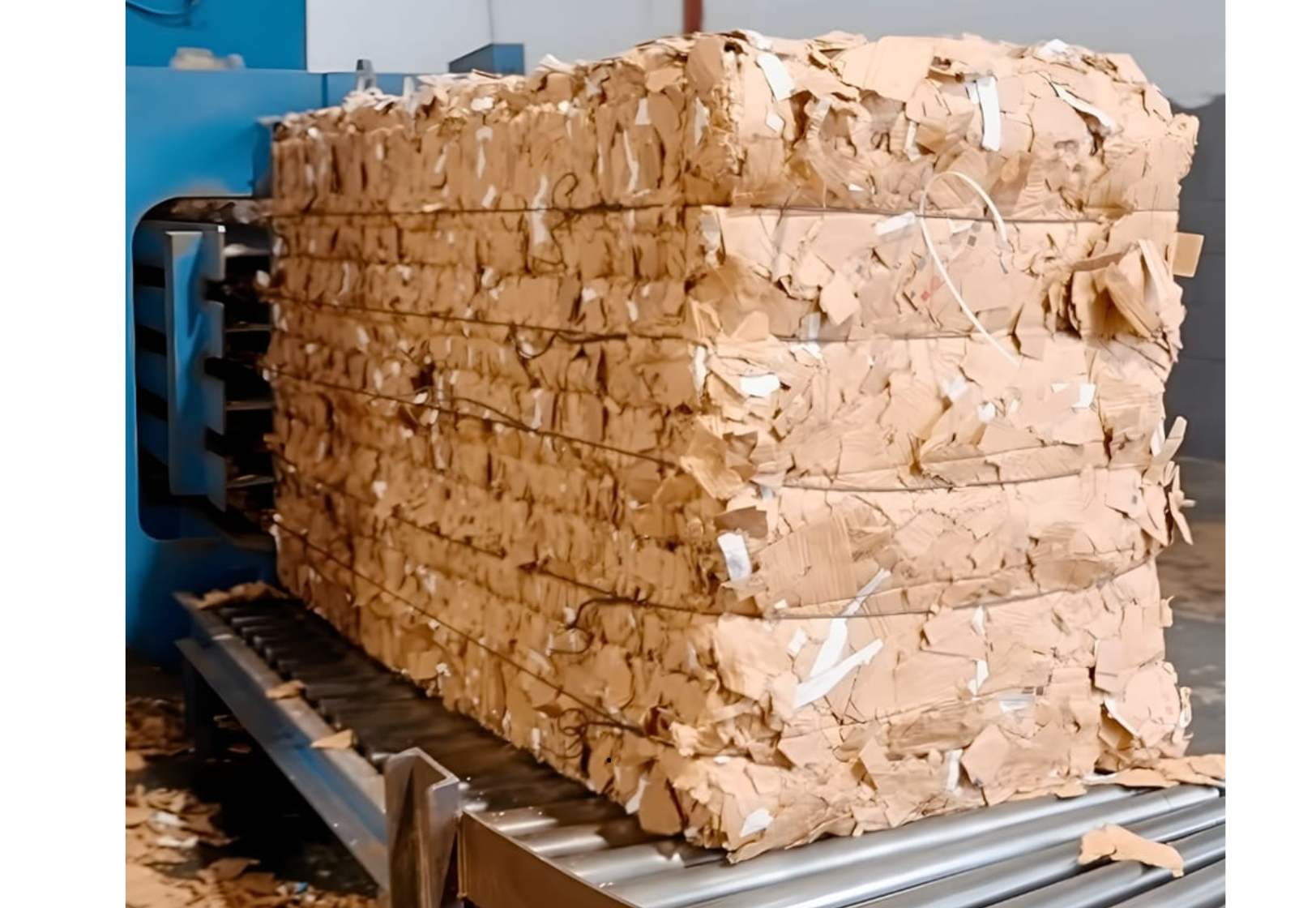 1-Feb-26-2026-02-21-53-7626-PM