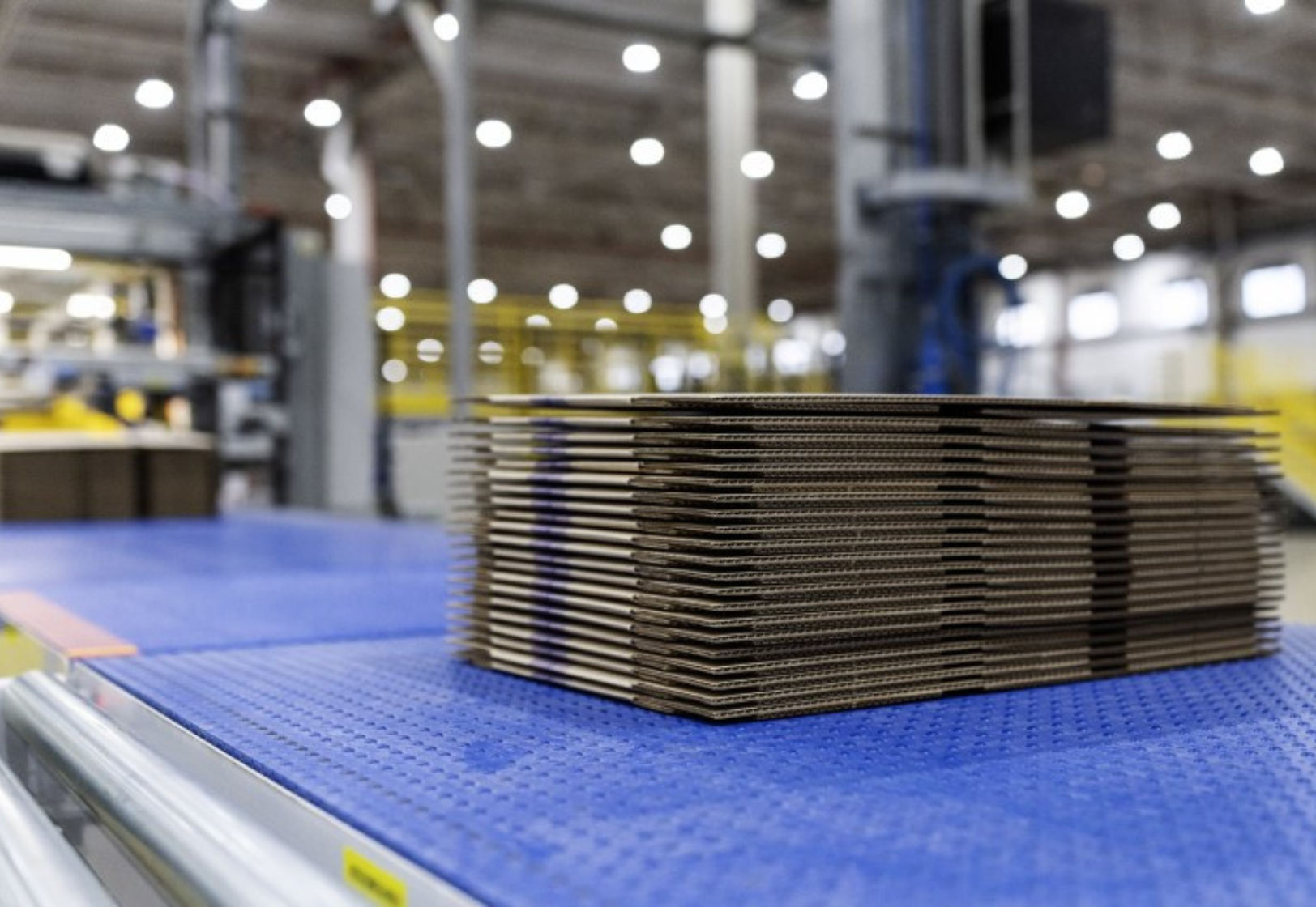 6-Mar-12-2026-03-03-57-7432-PM